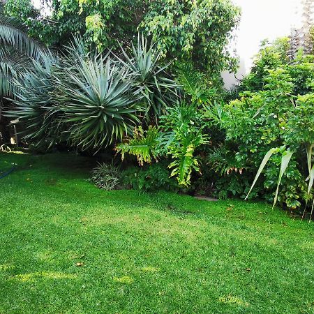 Mulberry Gardens Self Catering Leilighet Swakopmund Eksteriør bilde